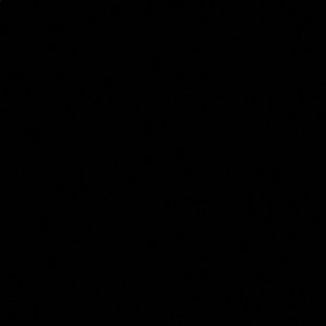 Meet your Posher, Dawaun